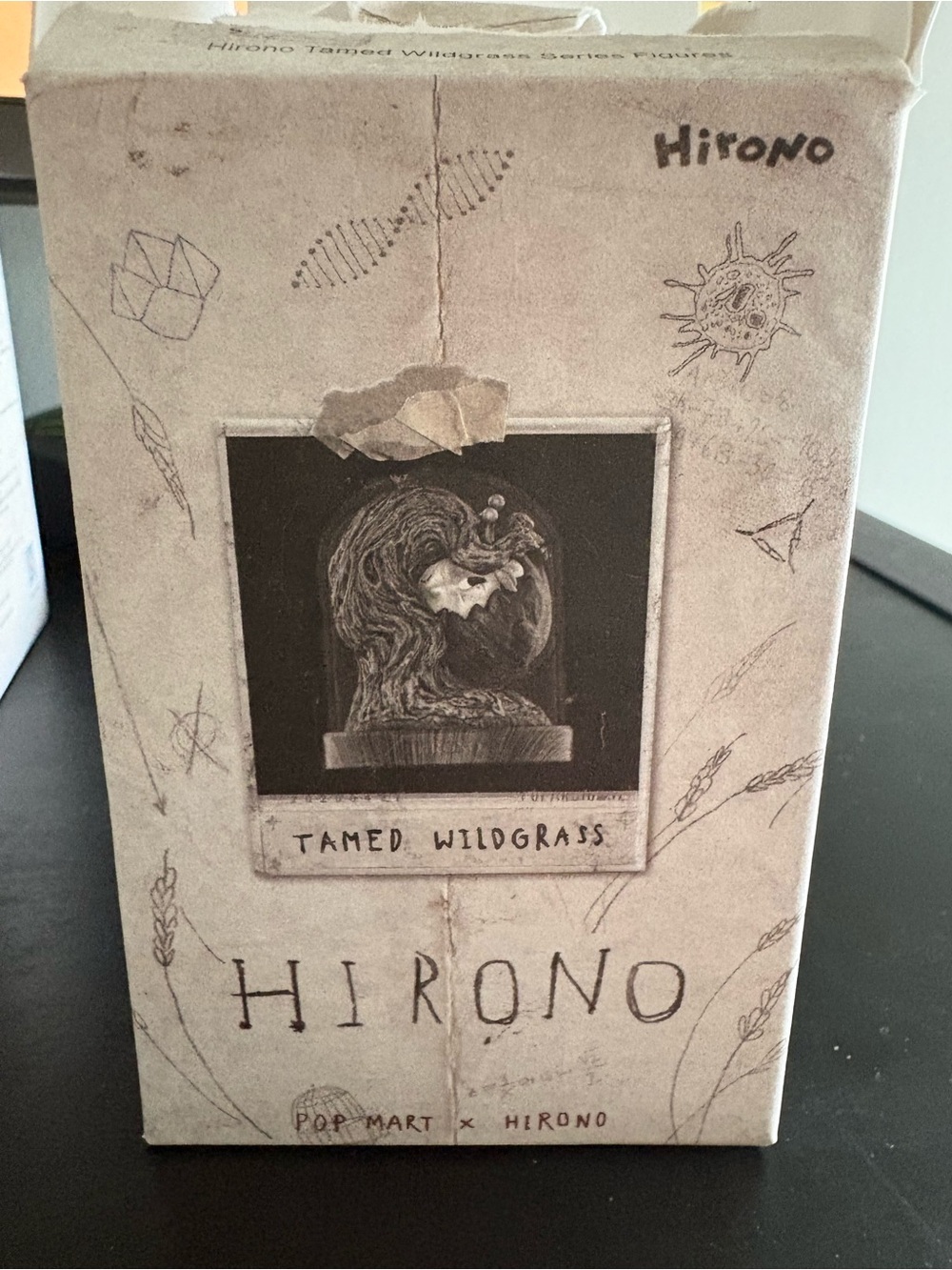 Hirono Tamed Wildgrass Decorative Collectible Box (Beige)
